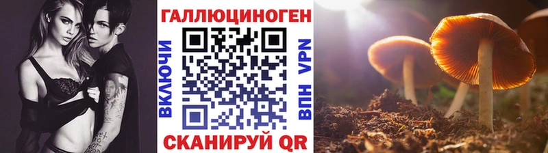 Псилоцибиновые грибы ЛСД  MEGA вход  Инта 